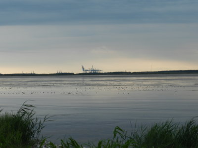 Craney Is 081912 q.JPG
