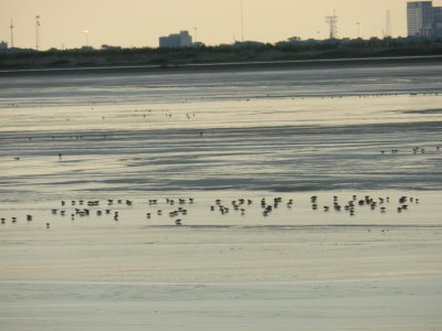 Craney Is 081912 s.JPG