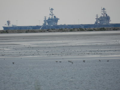 Craney Is 081912 v.JPG