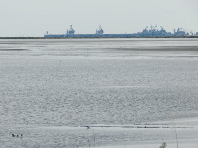 Craney Is 081912 x.JPG