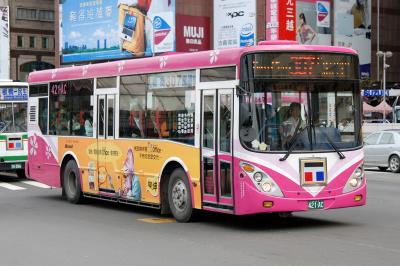 Taipei Bus (3)
