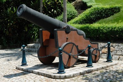 A Cannon