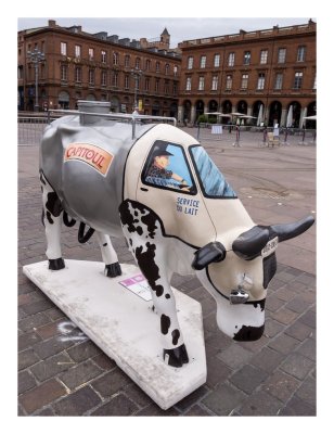 cow_in_toulouse
