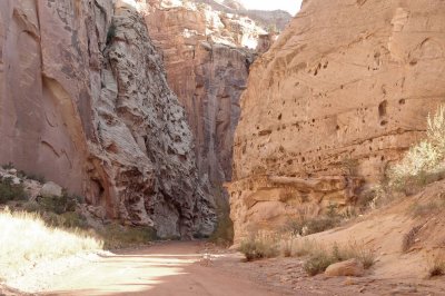 Capital-Gorge-Cap-Reef-03.jpg