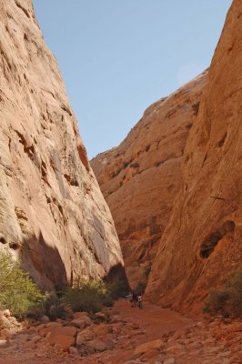 Capital-Gorge-Cap-Reef-06.jpg
