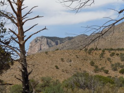 2011 August NM Guadalupe Mountains NP.
