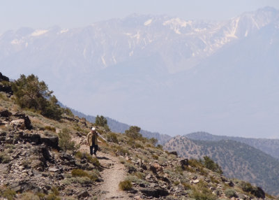 09 Dick at Bristlecone Overlook 02.jpg