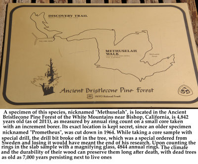 03 Bristlecone Trail Map 01.jpg