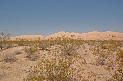 06 Mojave NP Sand Dunes 02.jpg
