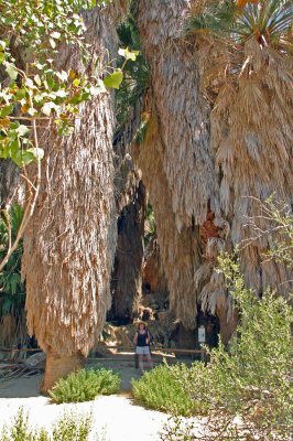 02 Cottonwood Springs 01.jpg