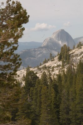 Yosemite National Park (YNP)