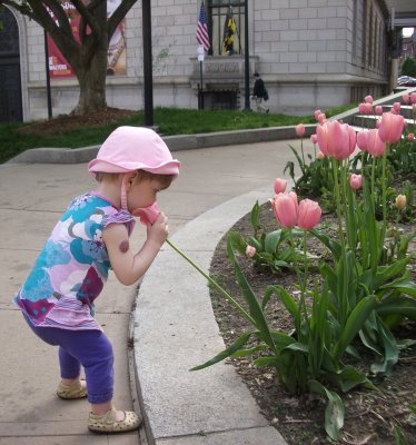 really smelling tulips
