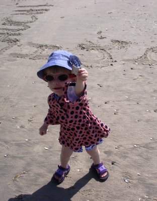 Shells are fun