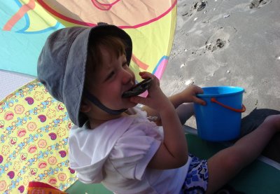 Shells taste salty