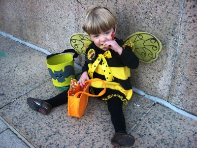 Bella BumbleBee 1