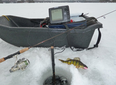 g4/92/731492/3/140990567.2c4eDnhl.jpg
