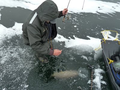window fishing