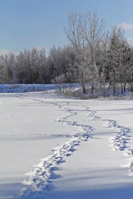 Promenade hivernale
