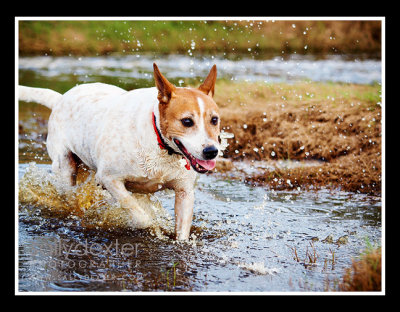 running free in the avon river