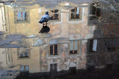 Reflections on Piazza di Madonna degli Aldobrandini3693