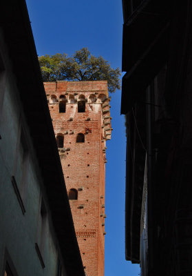 Un giro a Lucca