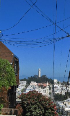 Coit Tower through the wires2562.jpg