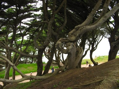 Lands End,  May 2012