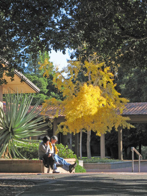 University of California, Berkeley