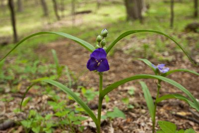_MG_2582.jpg
