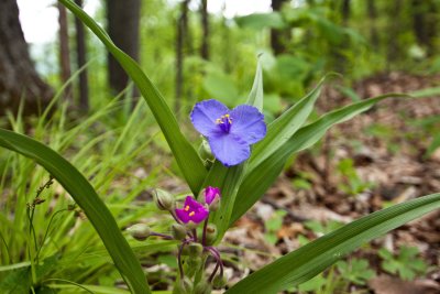 _MG_2586.jpg