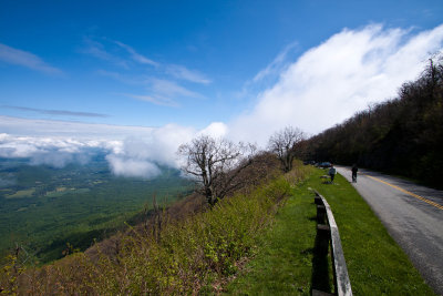 _MG_2708.jpg