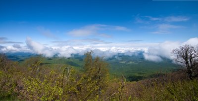 Untitled_Panorama1.jpg