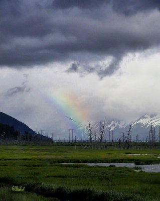 Rainbow Over Seward Hiway 2011
