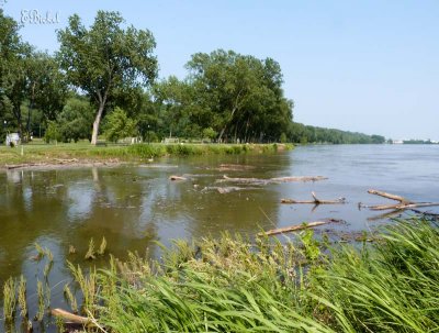 Debris from Up River