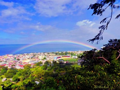 The Caribbean