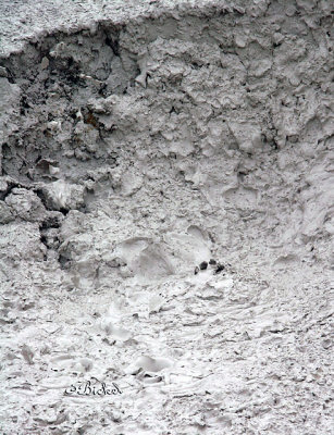 Bubbling Mud