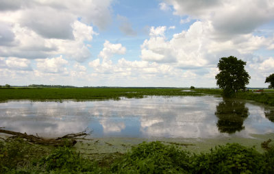 Afternoon Clouds Over the Marsh 2006