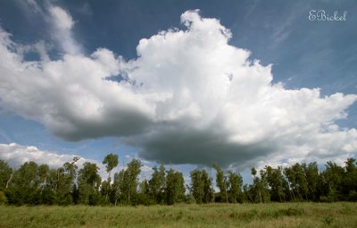 Heavy Clouds 2006