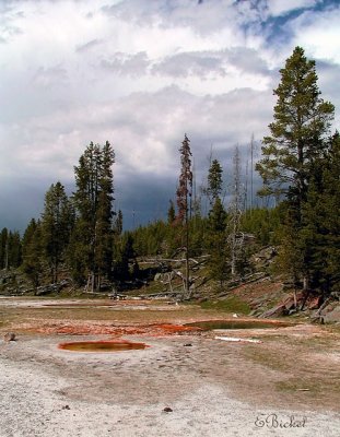 Upper Geyer Basin