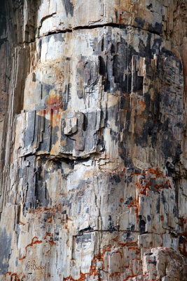 Petrified