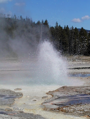 Spasmotic Geyser