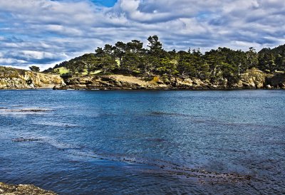 Point Lobos