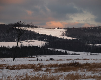 House on the hill