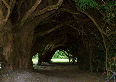 aberglasney