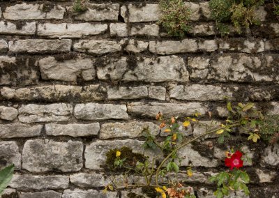 15448_Haddon Hall.jpg