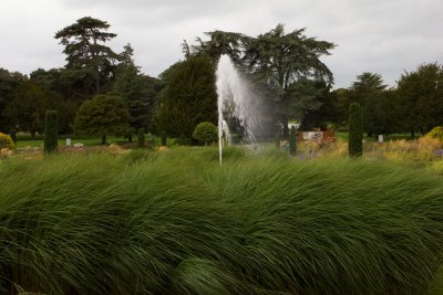 15619_Trentham River of Grass.jpg