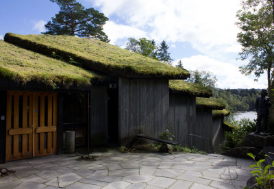 Traditional grass roof