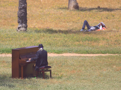The Pianist and His Audience