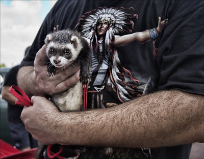 The Irony of the Pet Ferret and the Indian T-Shirt