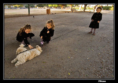 Three Sisters and a Dog